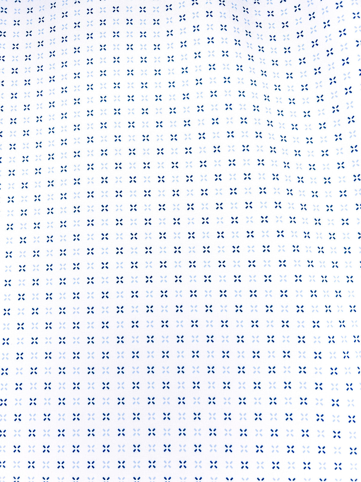 WHITE/BLUE