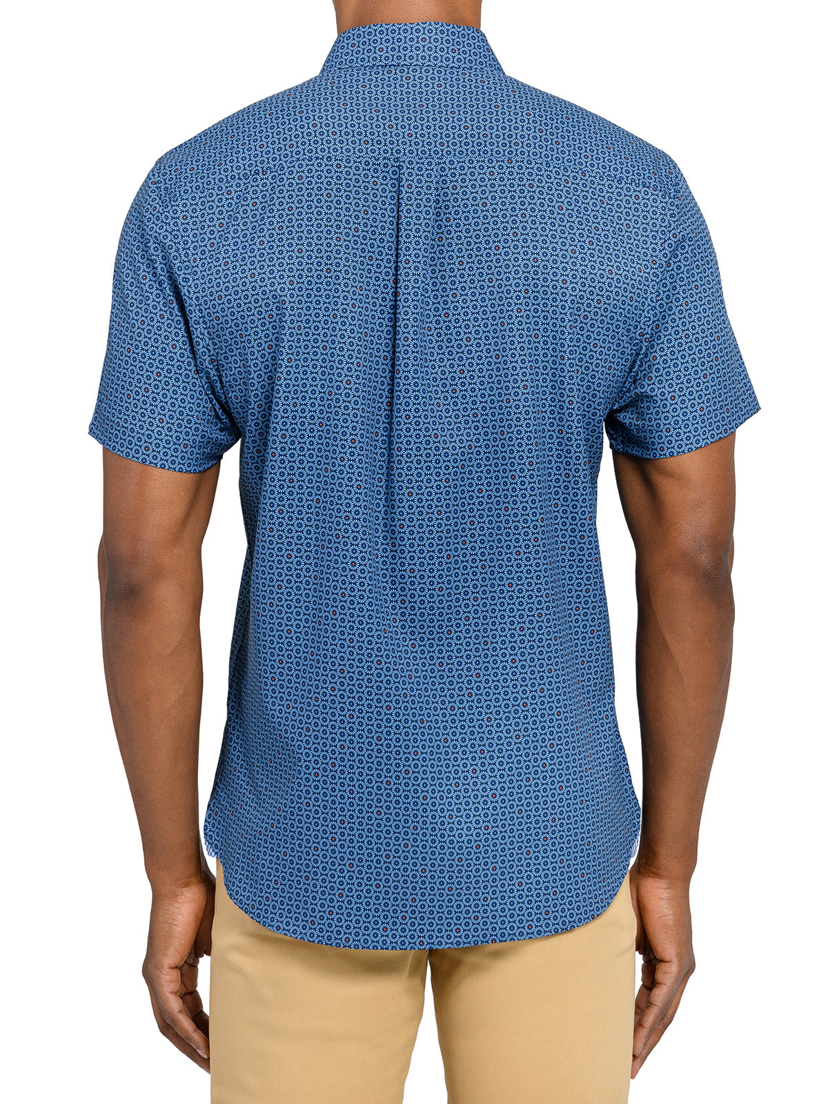 NAVY/CORAL