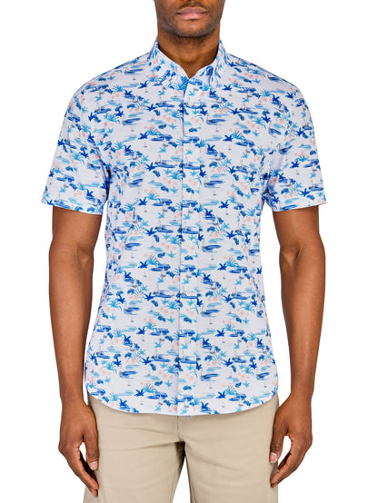 WHITE/BLUE