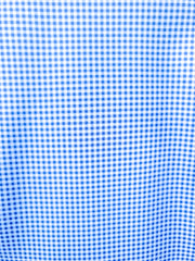 GINGHAMPERFORMANCEDRESSSHIRT