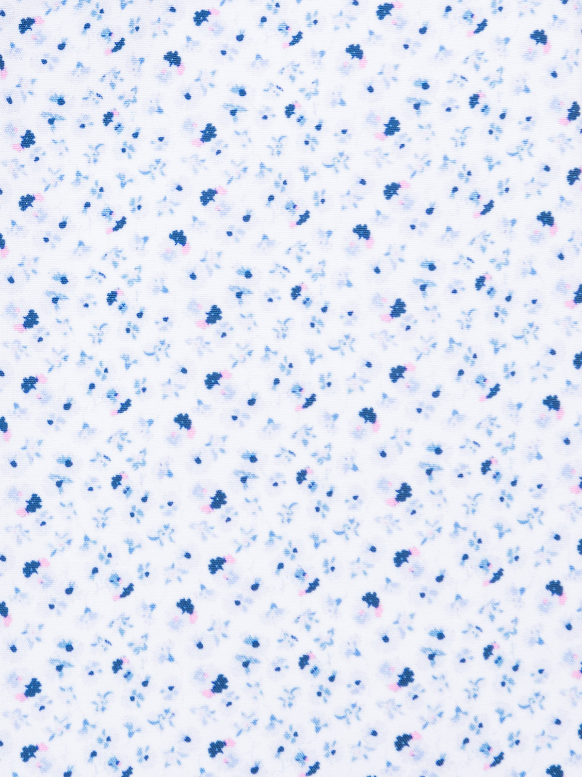 WHITE/NAVY