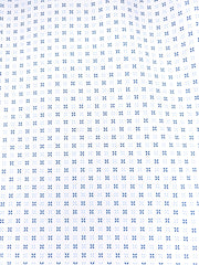 WHITE/BLUE