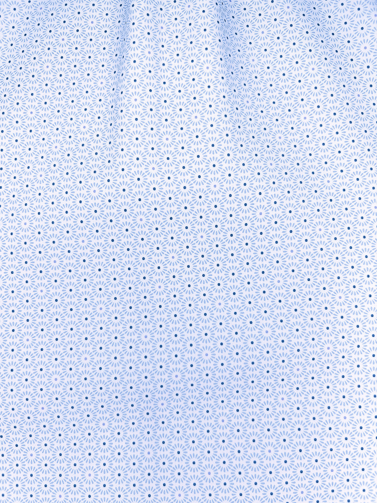 WHITE/BLUE
