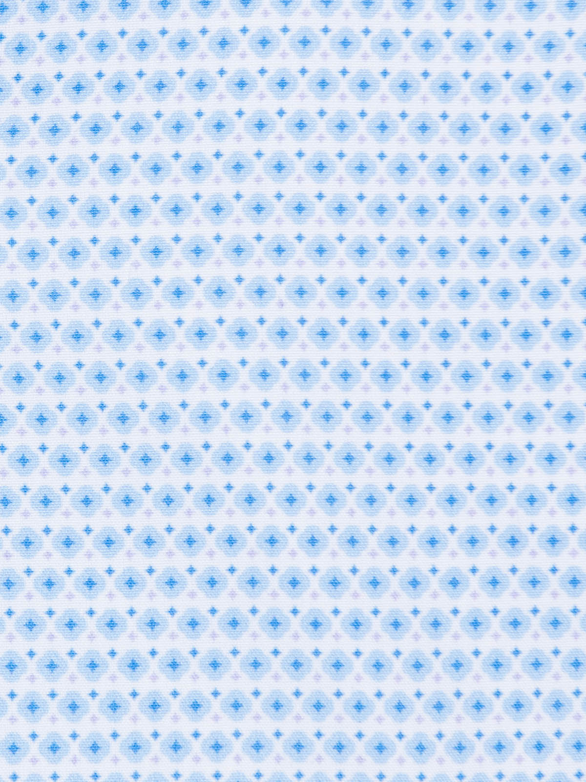 WHITE/BLUE