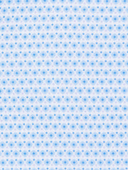 WHITE/BLUE