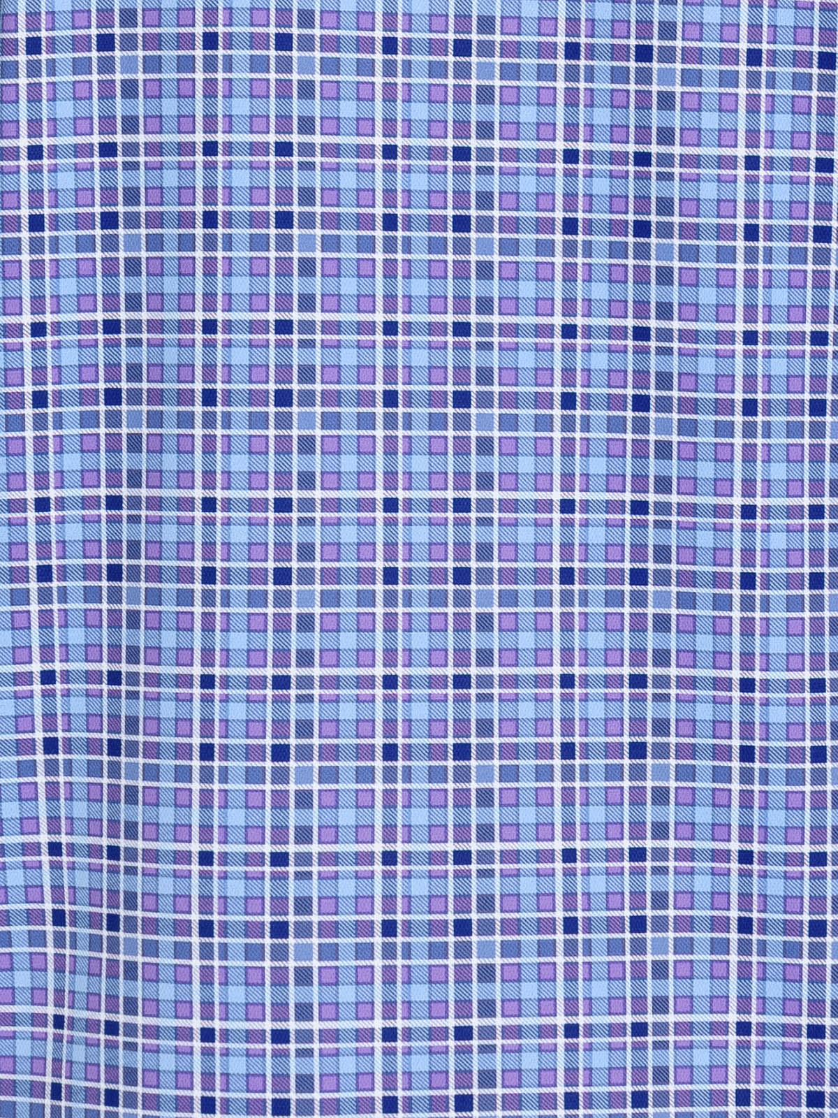 BLUE PURPLE