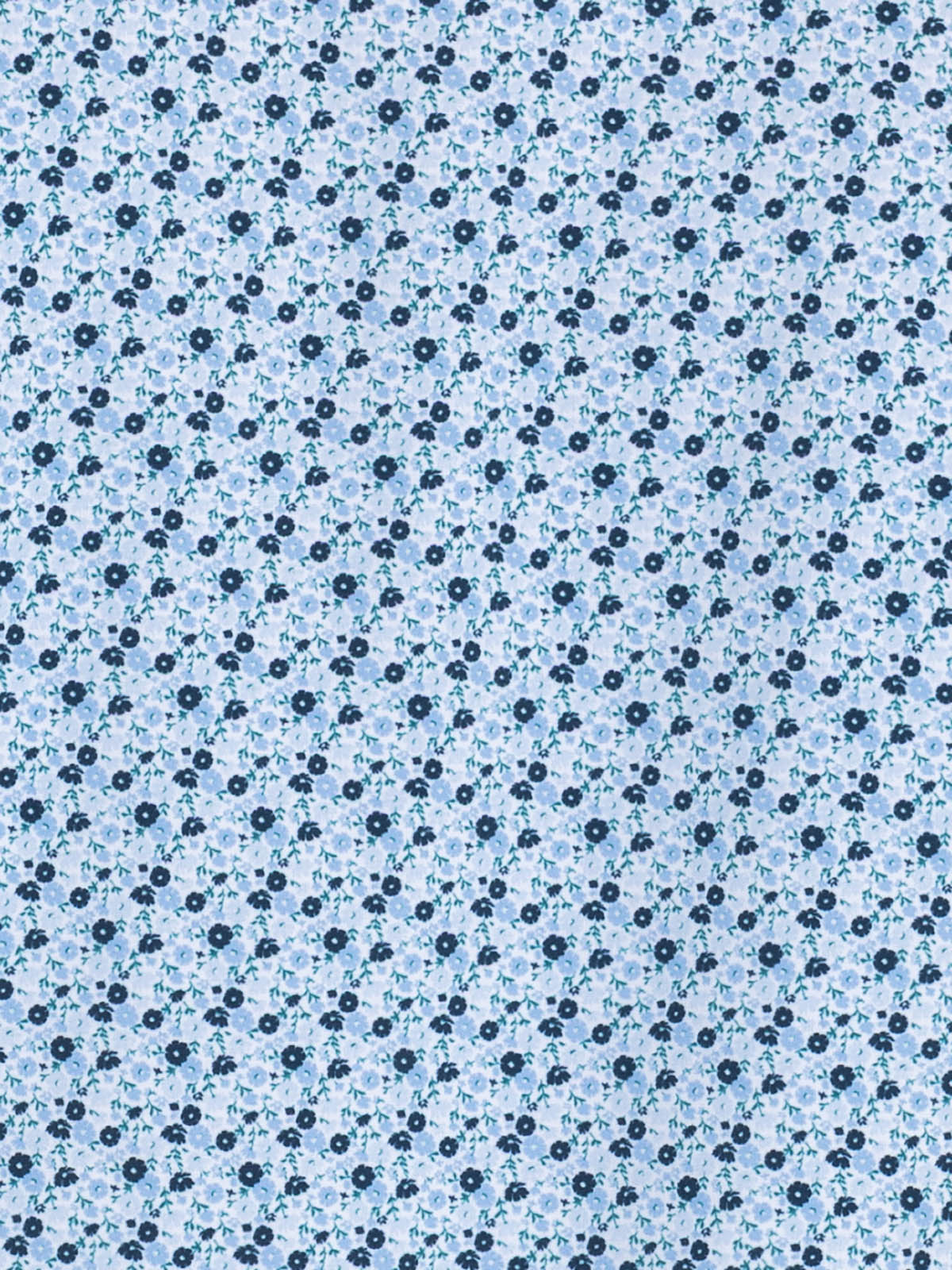WHITE/BLUE