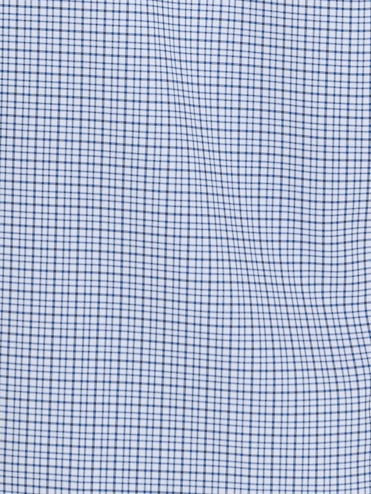 WHITE/BLUE