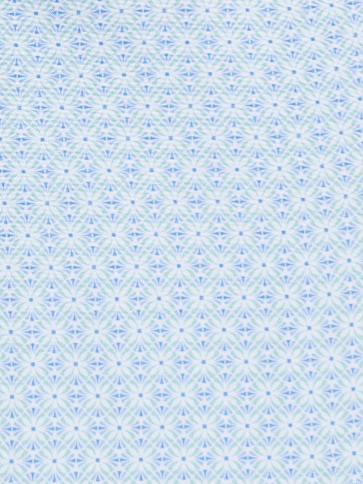 WHITE/BLUE