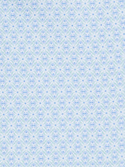 WHITE/BLUE