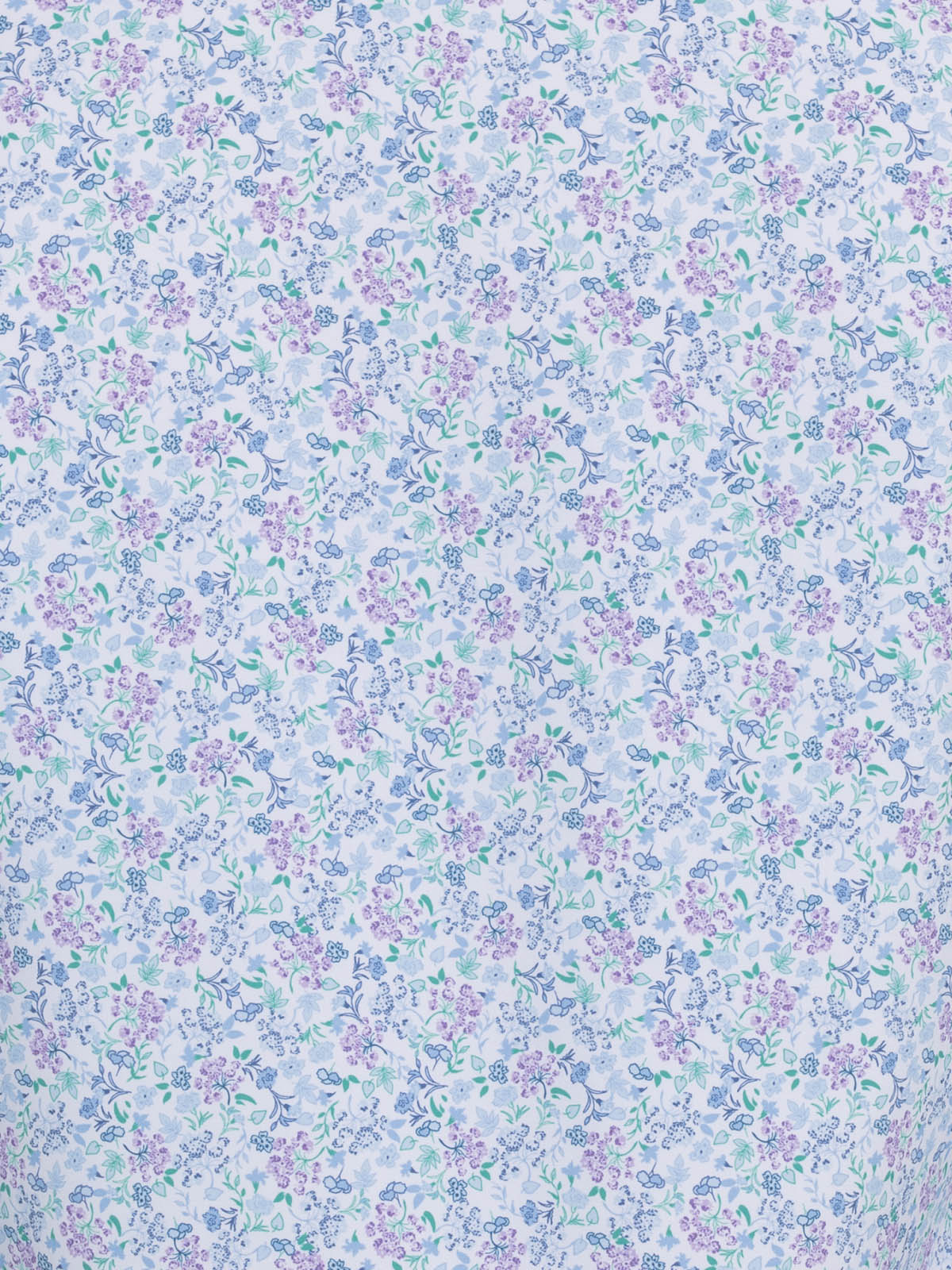 BLUE PURPLE