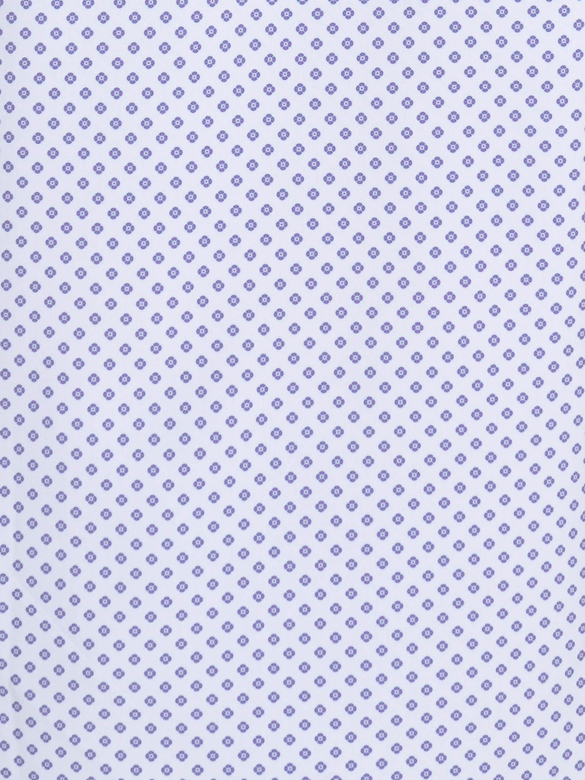 WHITE/PURPLE