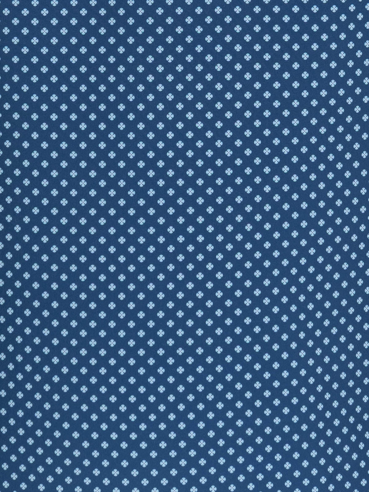 NAVY/BLUE