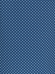 NAVY/BLUE