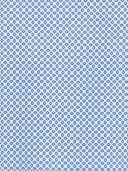 WHITE/BLUE