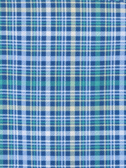 NAVY/GREEN