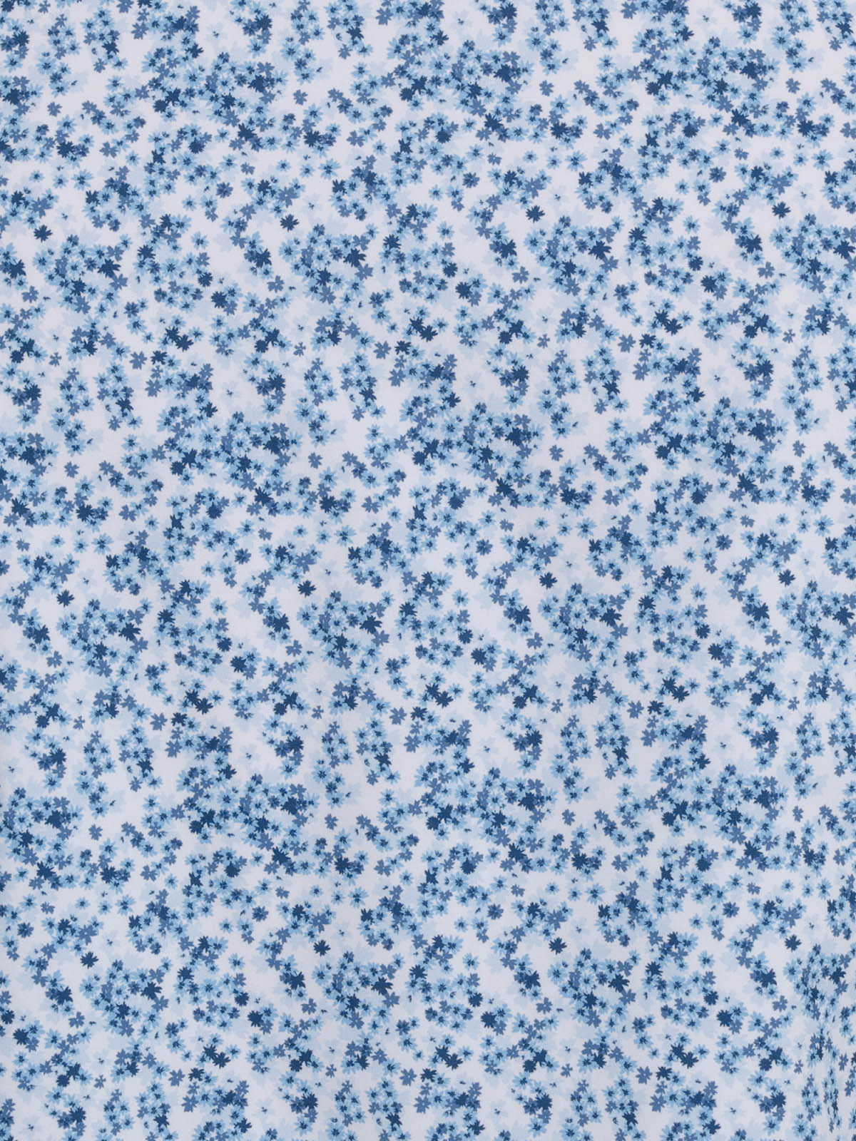WHITE/BLUE