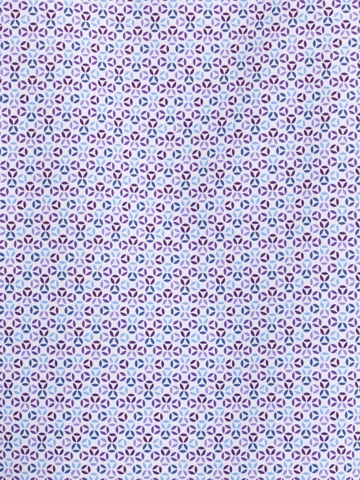 BLUE PURPLE