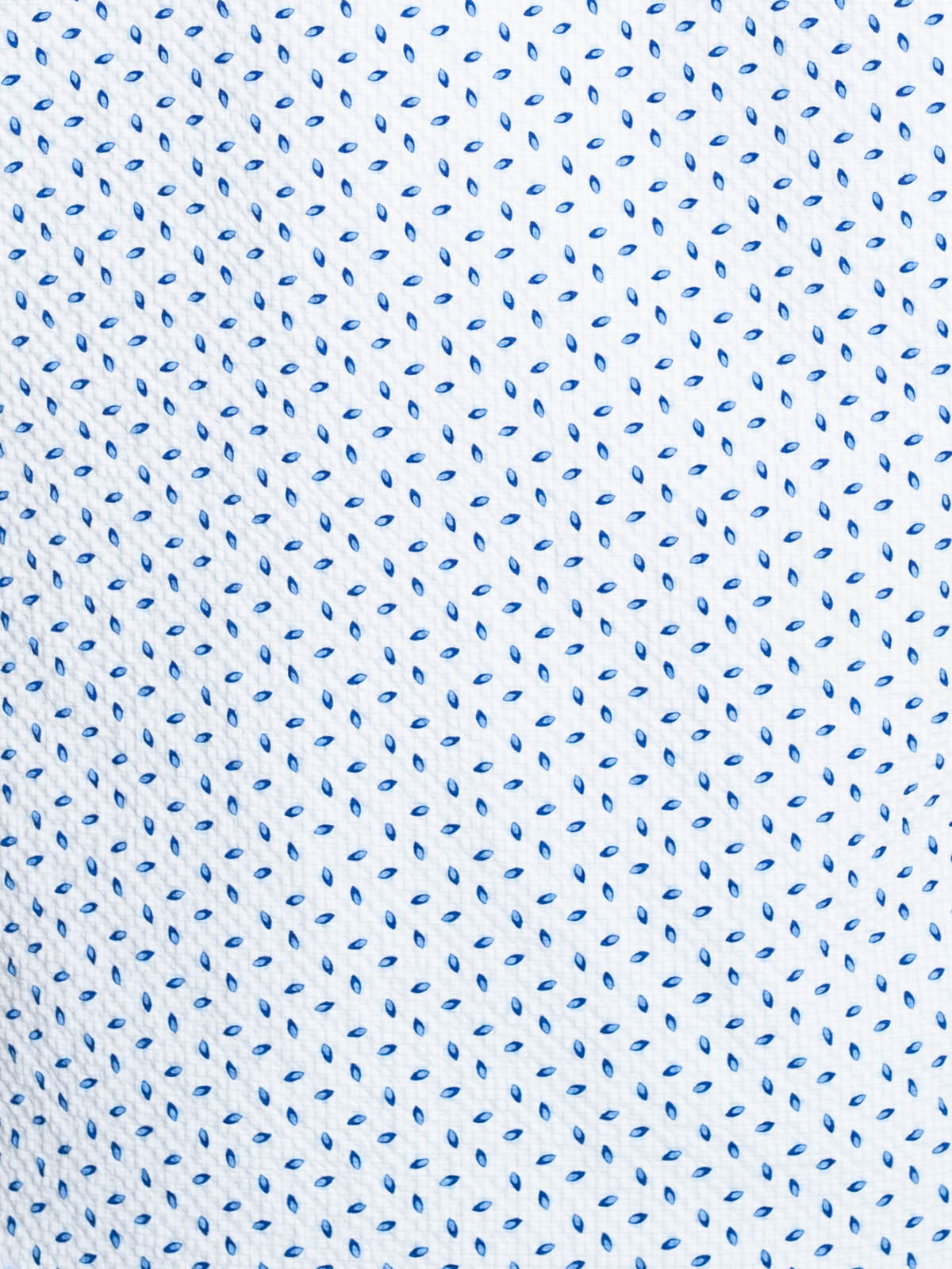 WHITE/BLUE