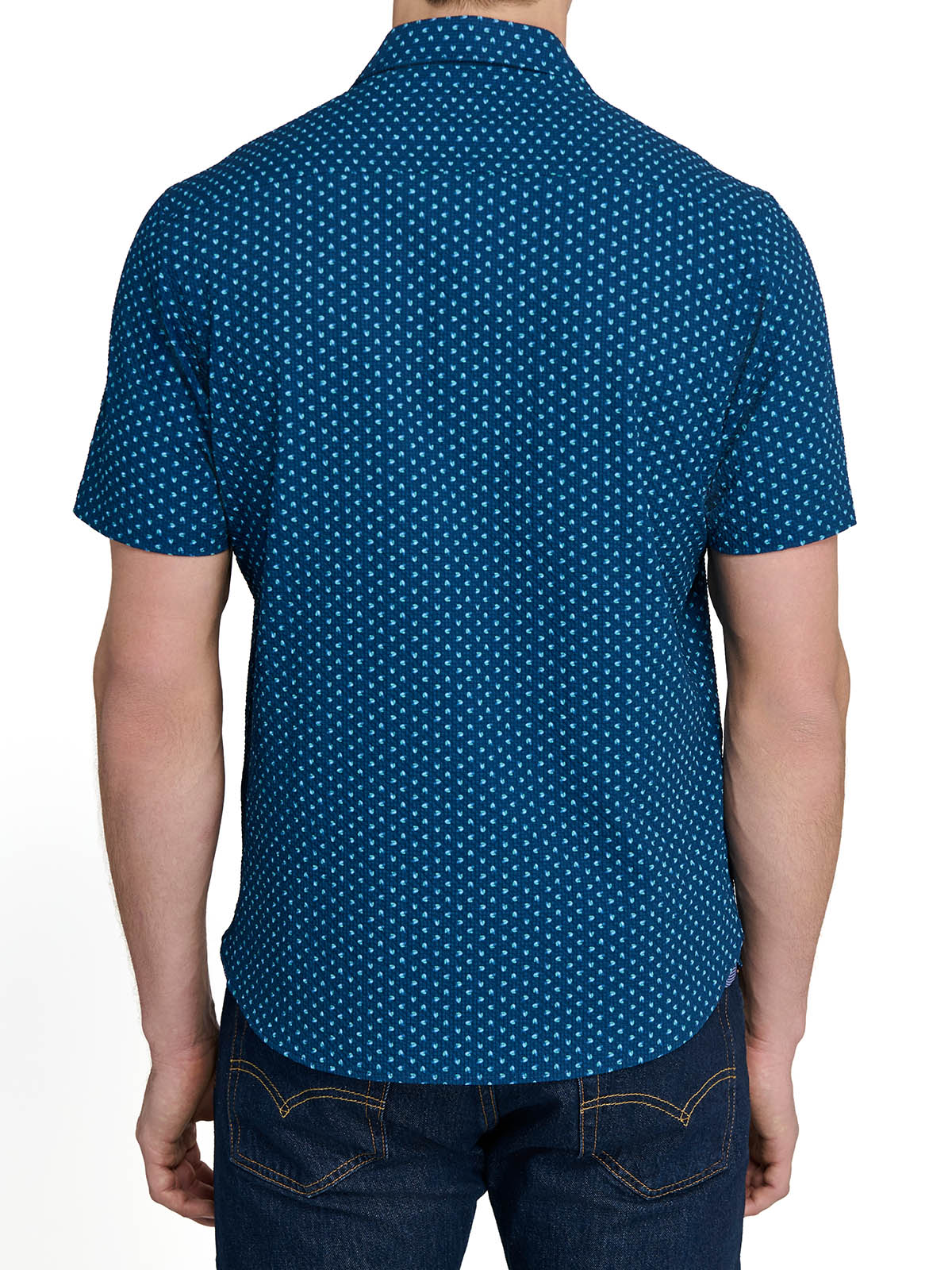 NAVY/GREEN
