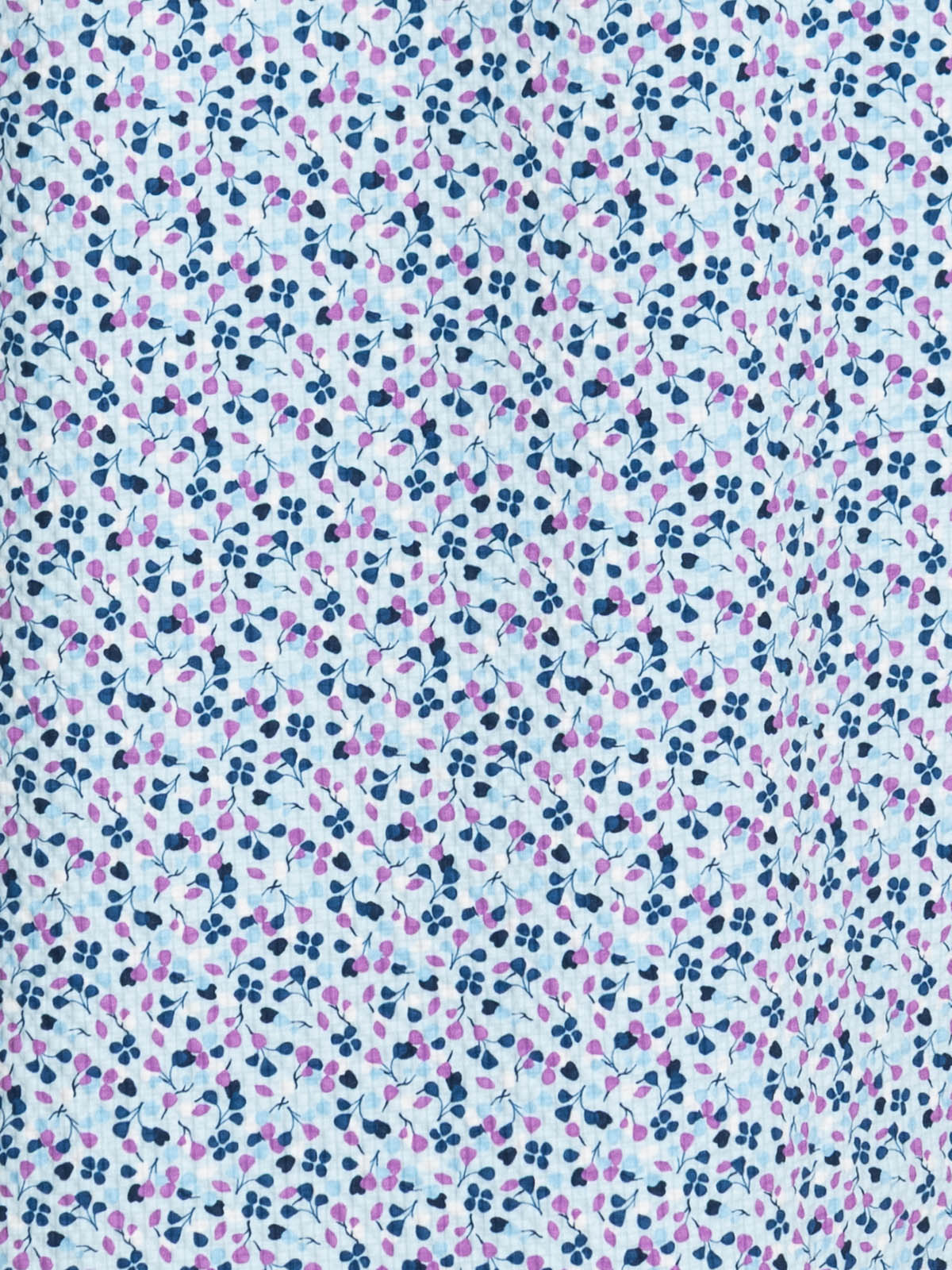 BLUE PURPLE