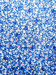 WHITE/BLUE