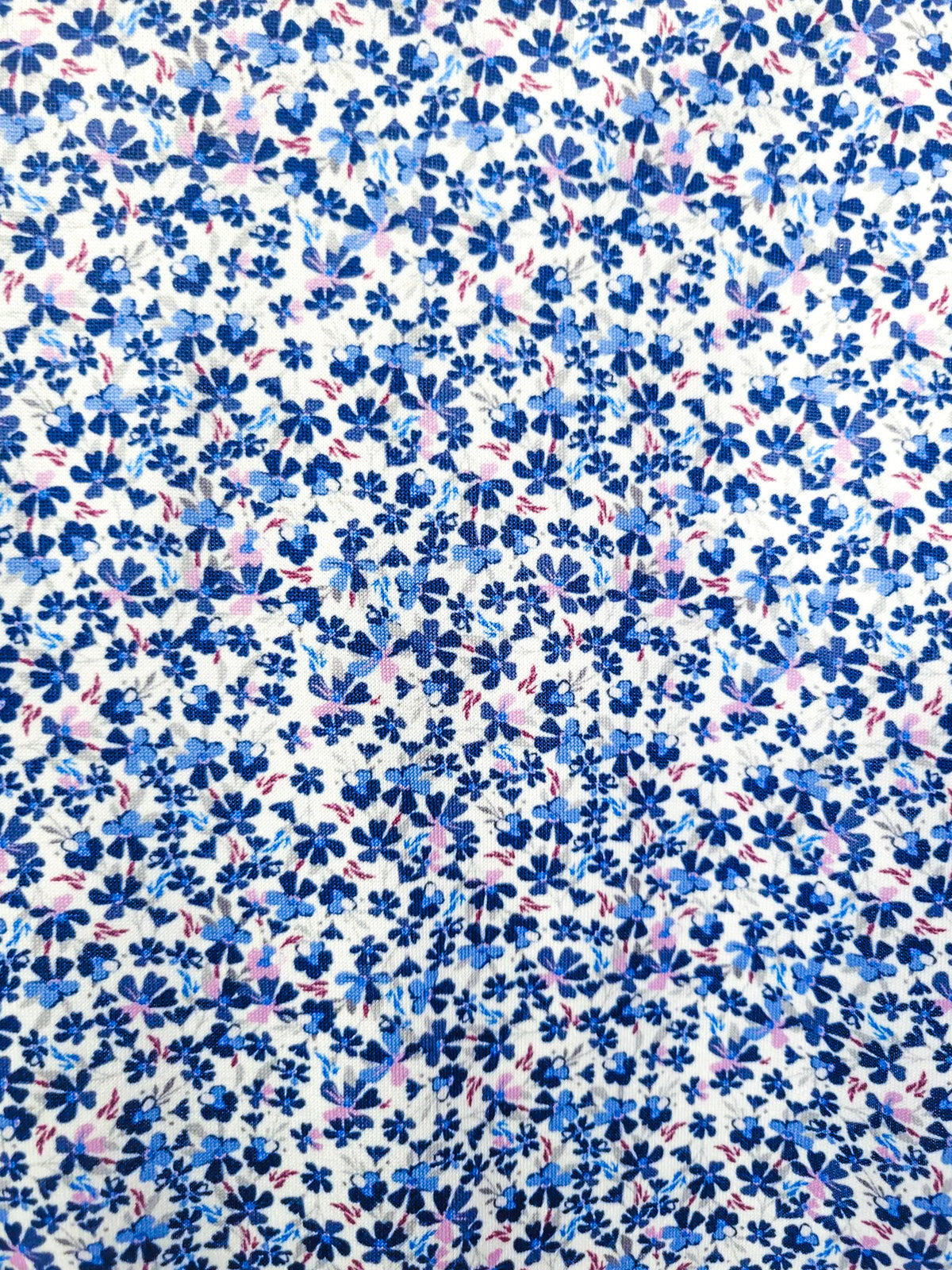 WHITE/BLUE