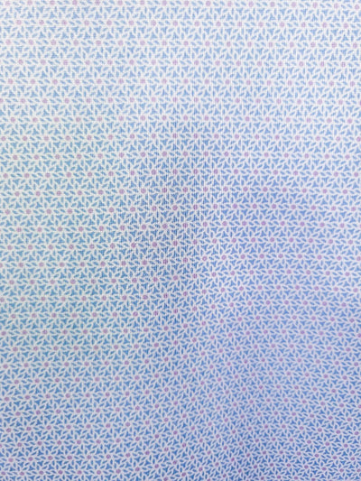 WHITE/BLUE