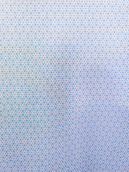WHITE/BLUE
