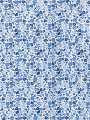 WHITE/NAVY