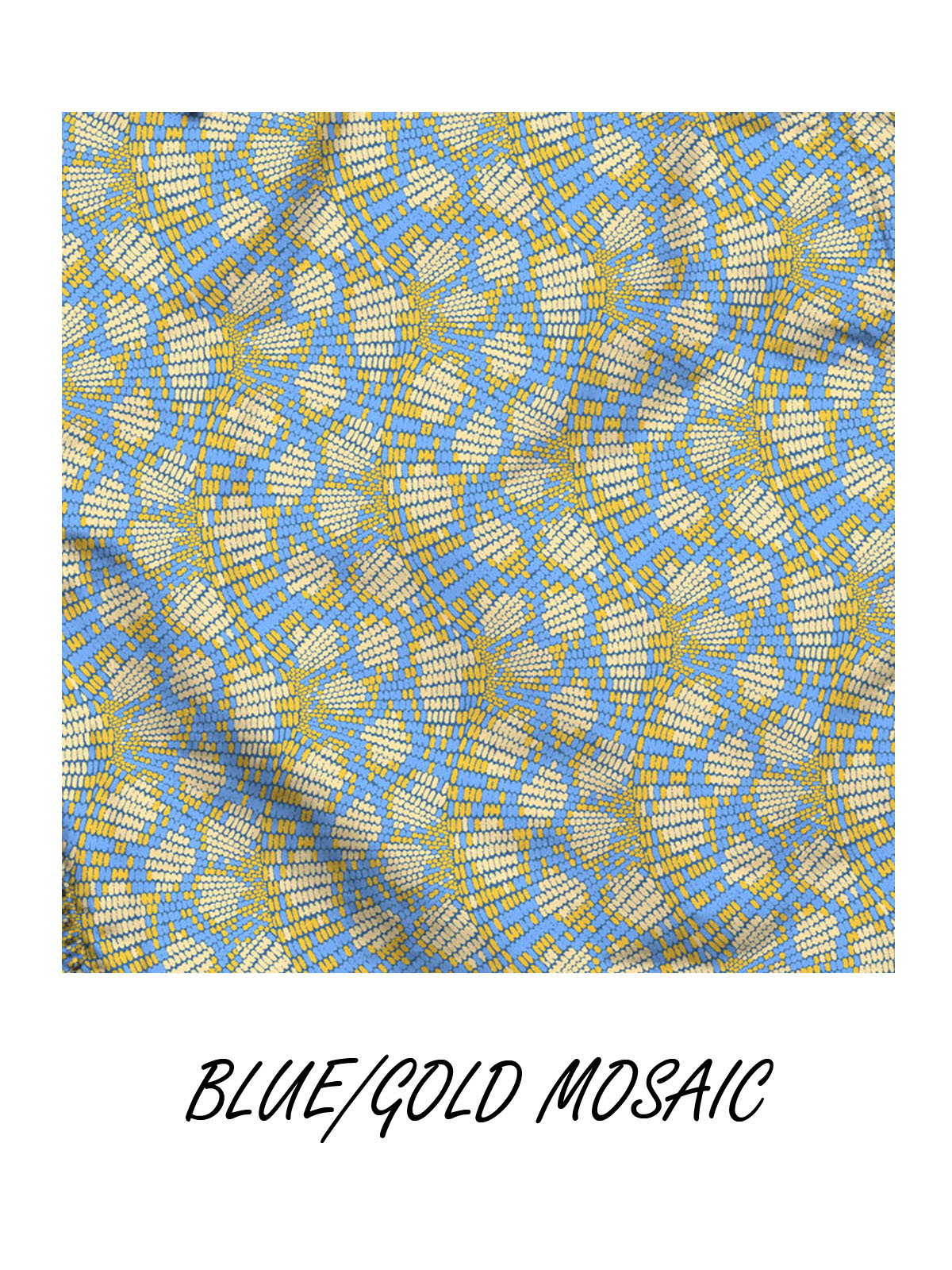 GOLD/BLUE